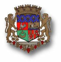 blason de la ville