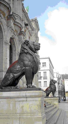 Les lions de l'htel de ville